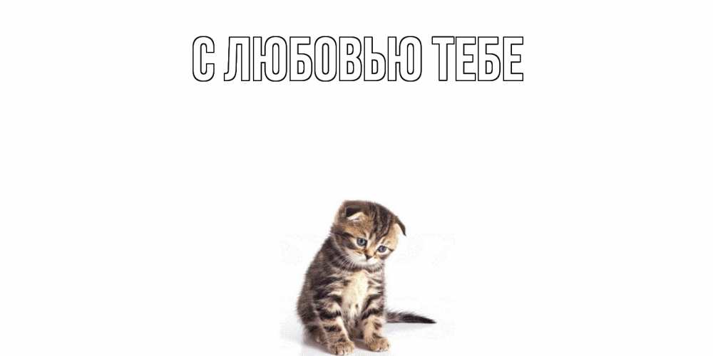 Открытка на каждый день с именем, Милан Скучашки кот Прикольная открытка с пожеланием онлайн скачать бесплатно 