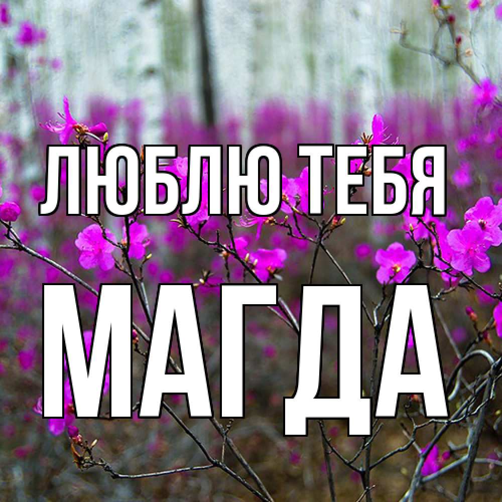 Открытка на каждый день с именем, Магда Люблю тебя дикие цветы Прикольная открытка с пожеланием онлайн скачать бесплатно 