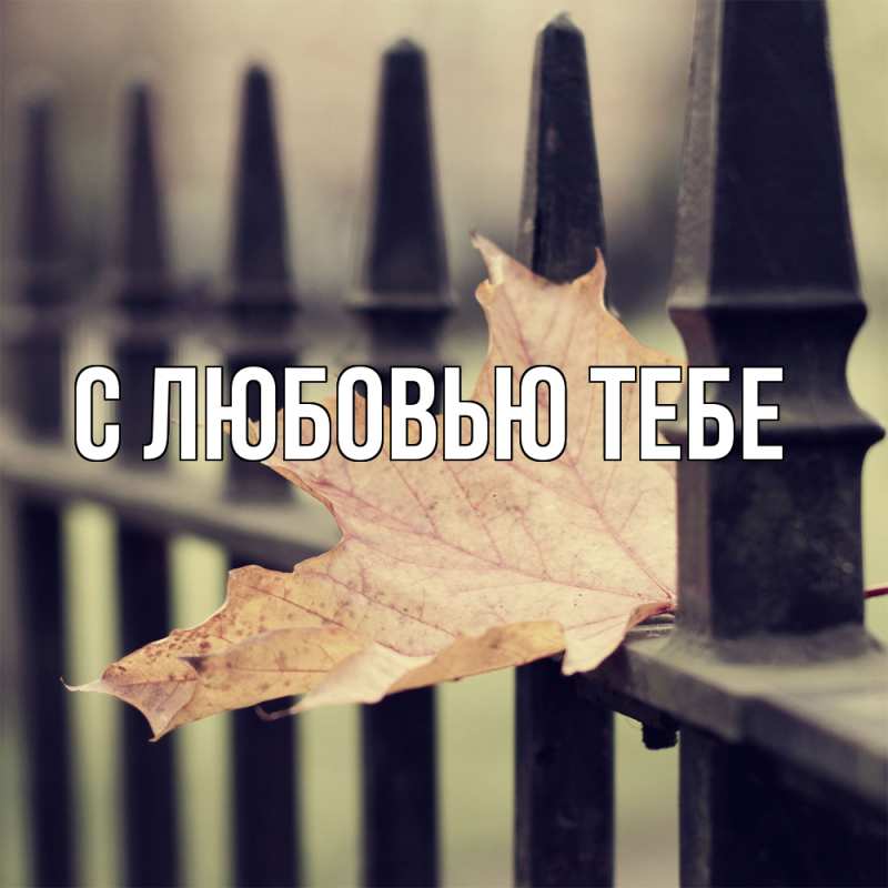 Картинка Скучашки, Савва