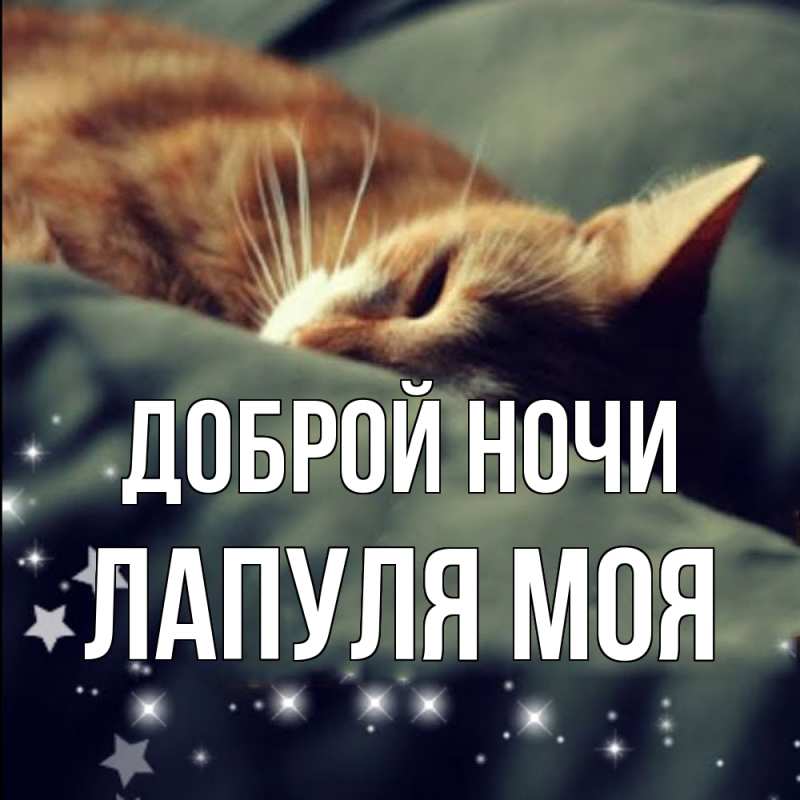 Открытка с именем, Лапуля моя, Доброй ночи