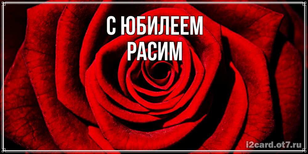 Открытка на каждый день с именем, Расим C юбилеем алая роза Прикольная открытка с пожеланием онлайн скачать бесплатно 