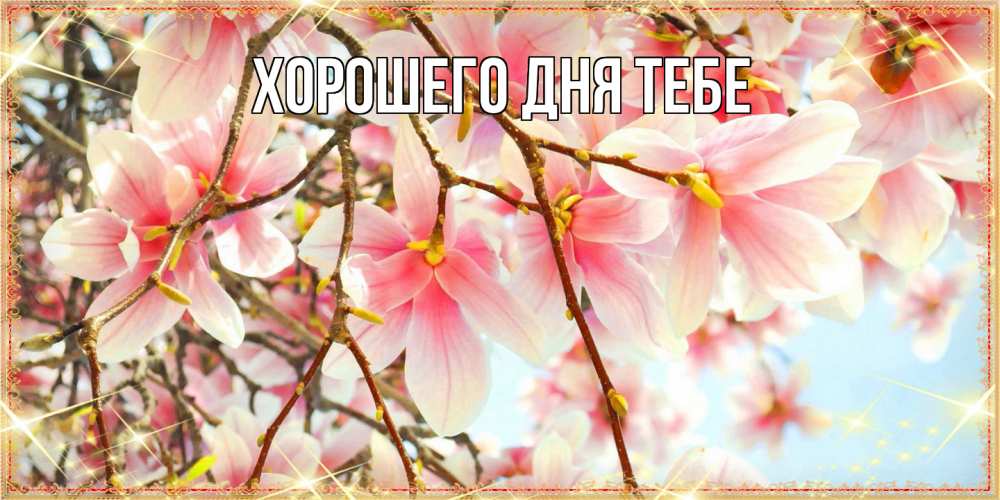 Открытка на каждый день с именем, Измаил Люблю тебя цветы деревьев на 8 марта Прикольная открытка с пожеланием онлайн скачать бесплатно 