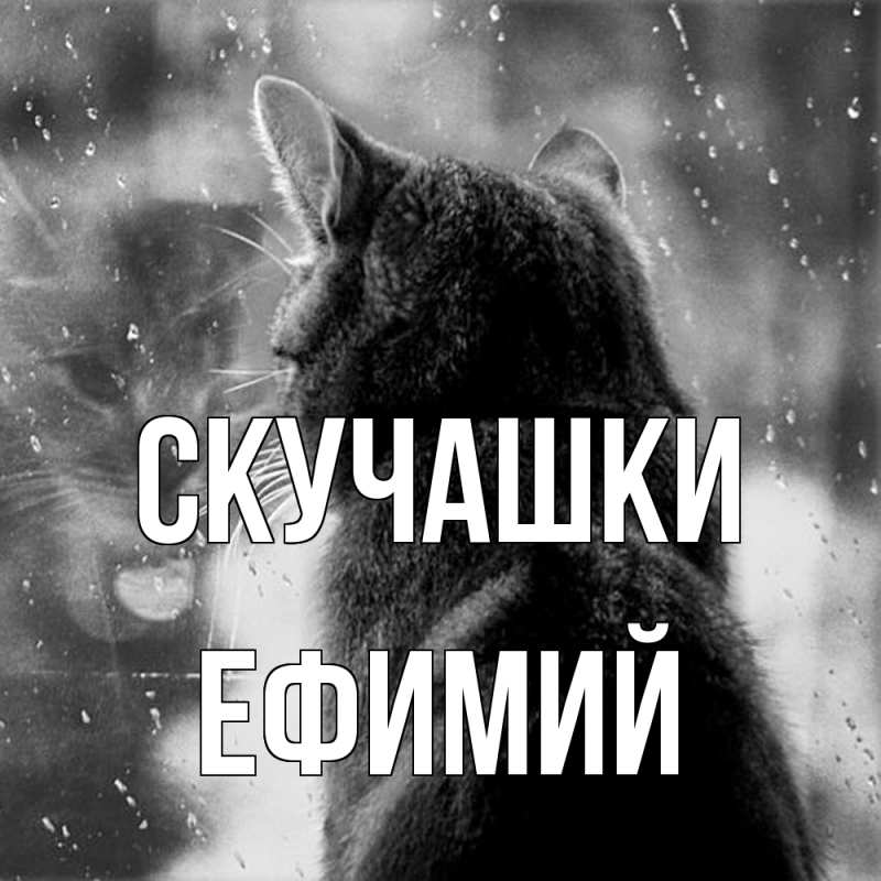 Открытка с именем, Ефимий, Скучашки