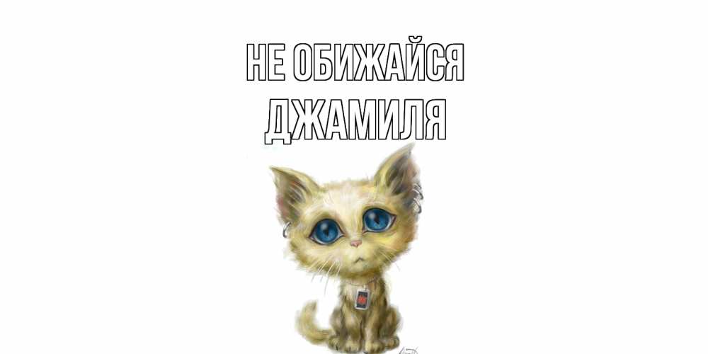 Открытка на каждый день с именем, Джамиля Не обижайся прости меня открытка с котиком Прикольная открытка с пожеланием онлайн скачать бесплатно 