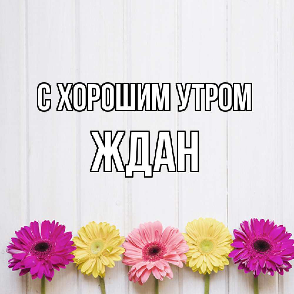 Открытка на каждый день с именем, Ждан С хорошим утром красный желтый и розовый цветок Прикольная открытка с пожеланием онлайн скачать бесплатно 