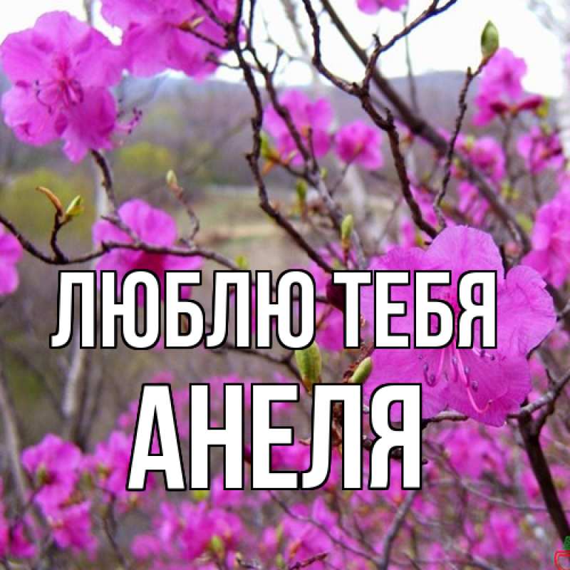 Картинка Люблю тебя, Анеля
