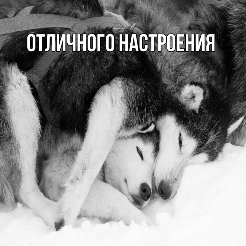 Картинка Обнимашки, Владислава