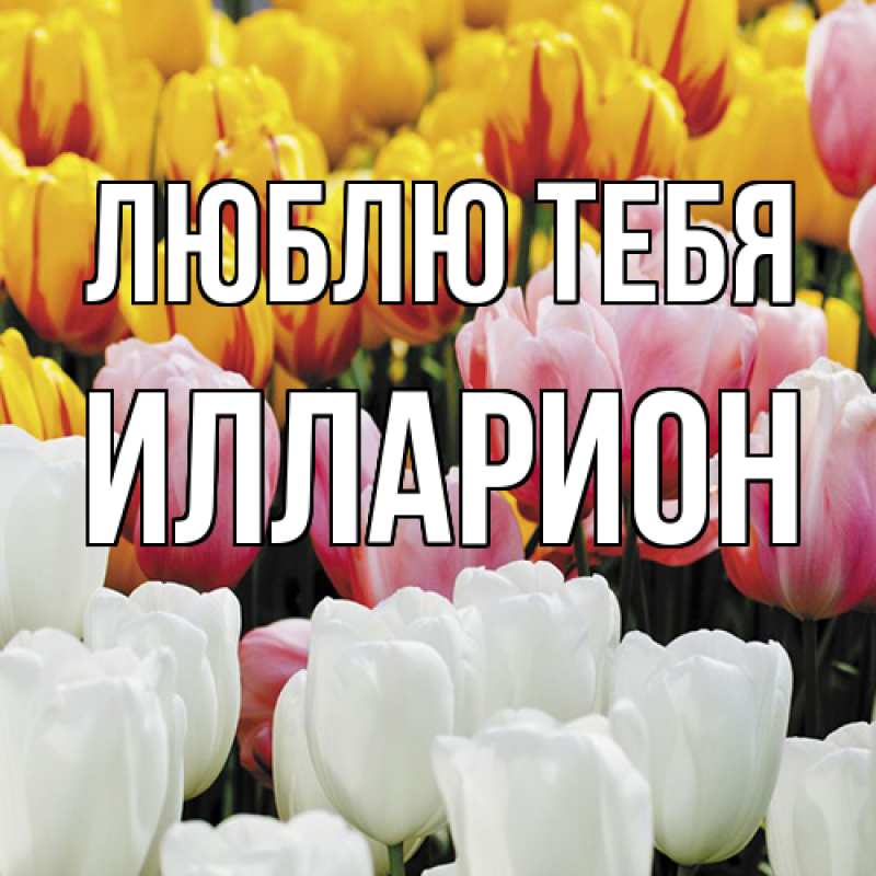 Открытка с именем, Илларион, Люблю тебя