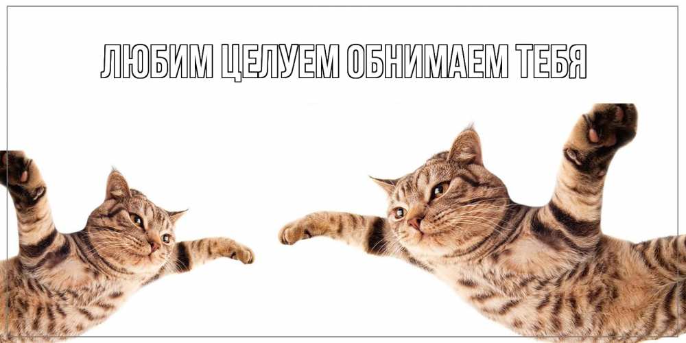 Открытка на каждый день с именем, Альфреда Хорошего дня тебе хорошего дня Прикольная открытка с пожеланием онлайн скачать бесплатно 