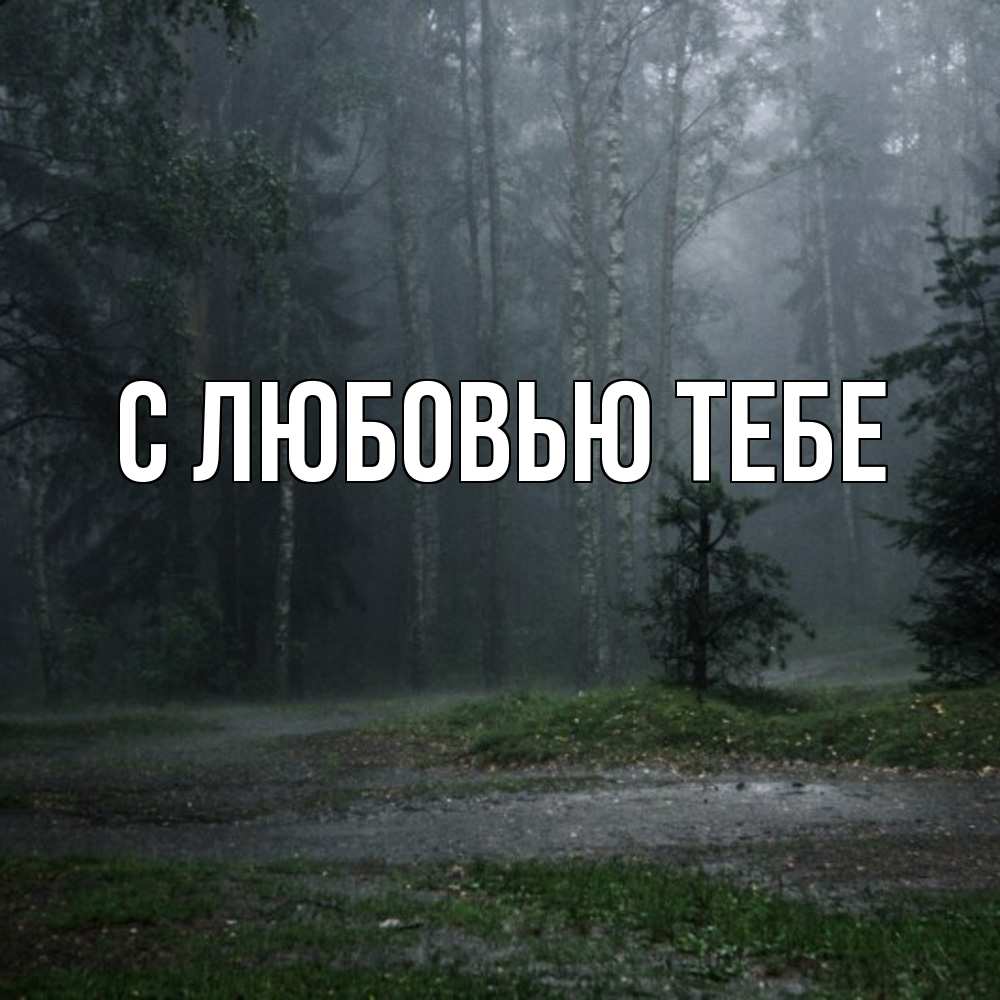 Открытка на каждый день с именем, Магда Скучашки одна и плохо мне Прикольная открытка с пожеланием онлайн скачать бесплатно 