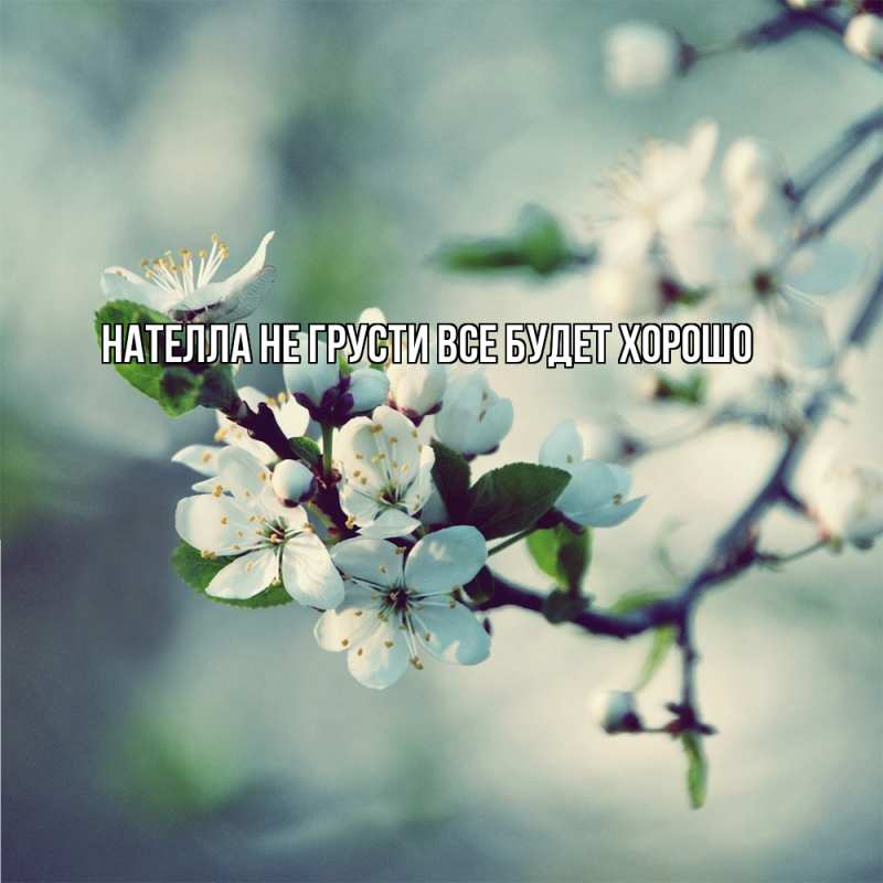 Картинка Не грусти, все будет хорошо, Нателла