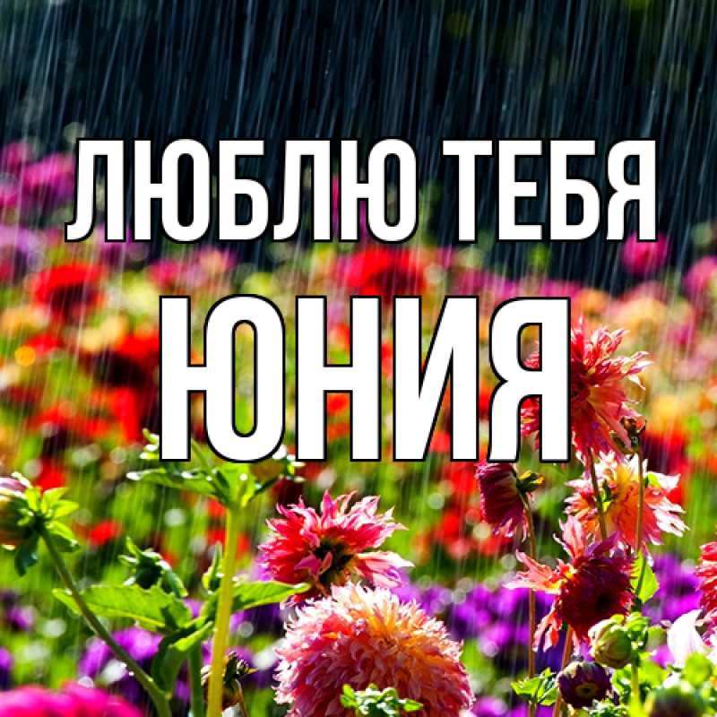 Картинка Люблю тебя, Юния