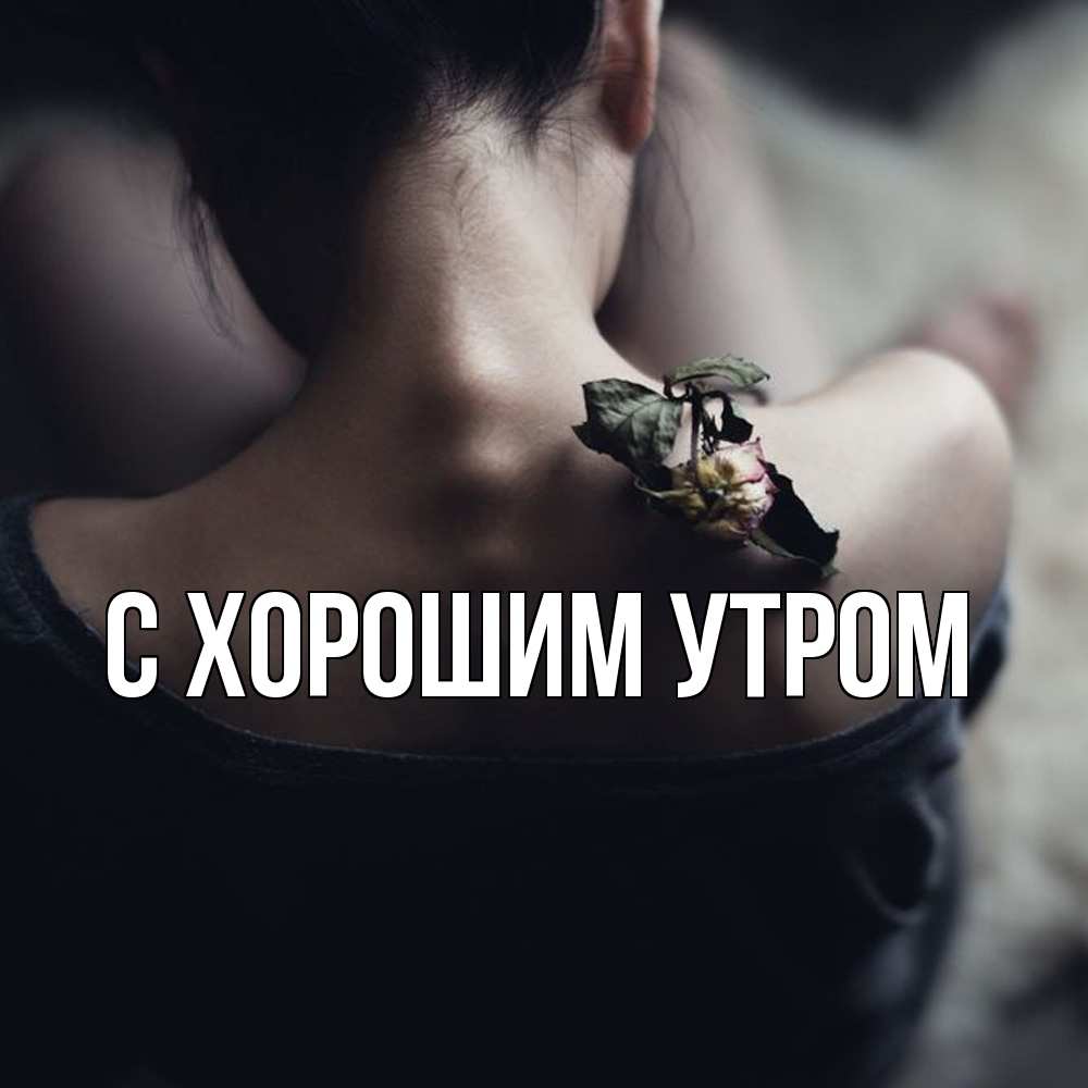 Открытка на каждый день с именем, Дилара Скучашки засох цветок Прикольная открытка с пожеланием онлайн скачать бесплатно 