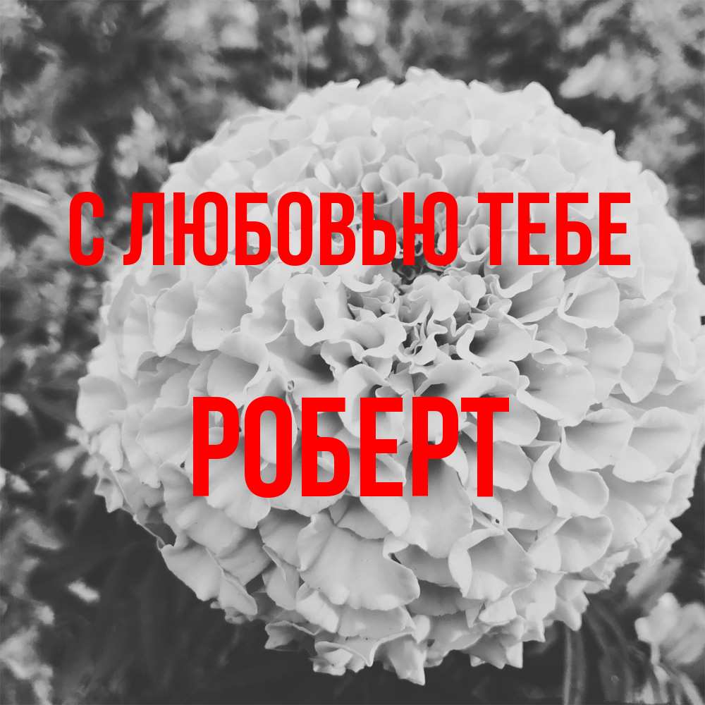 Открытка на каждый день с именем, Роберт С любовью тебе подпись Прикольная открытка с пожеланием онлайн скачать бесплатно 