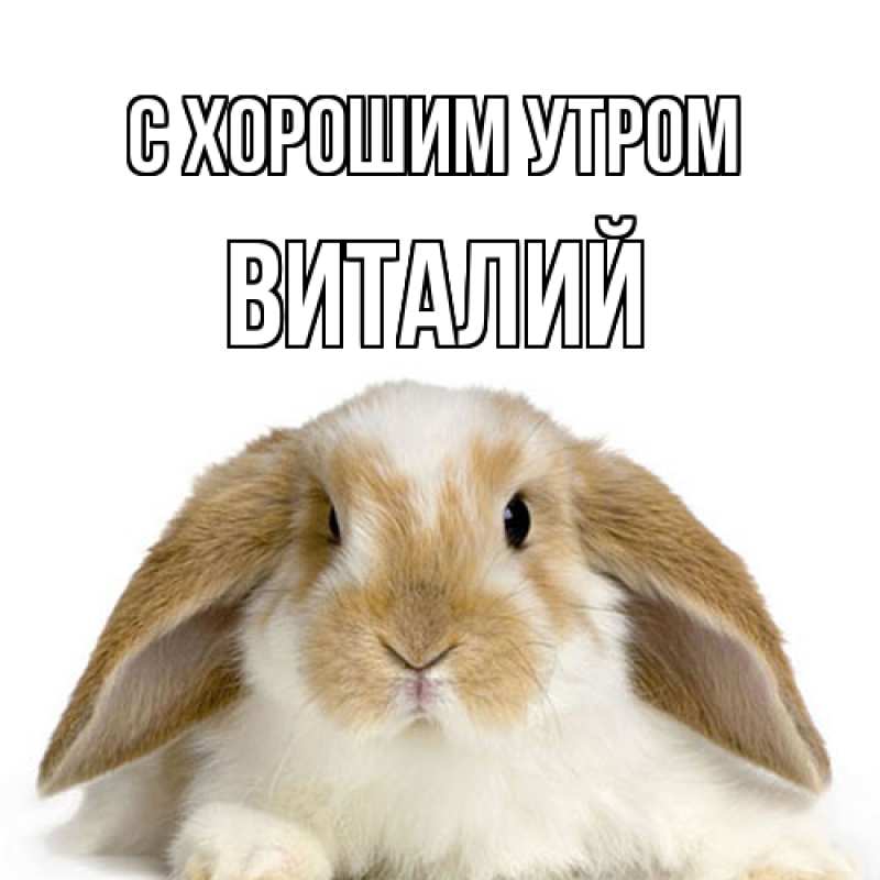 Картинка С хорошим утром, Виталий