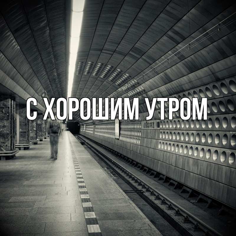 Картинка Скучашки, Рафаил