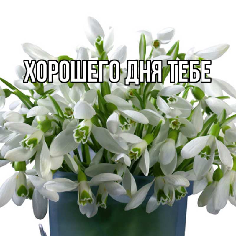 Картинка Люблю тебя, Измаил