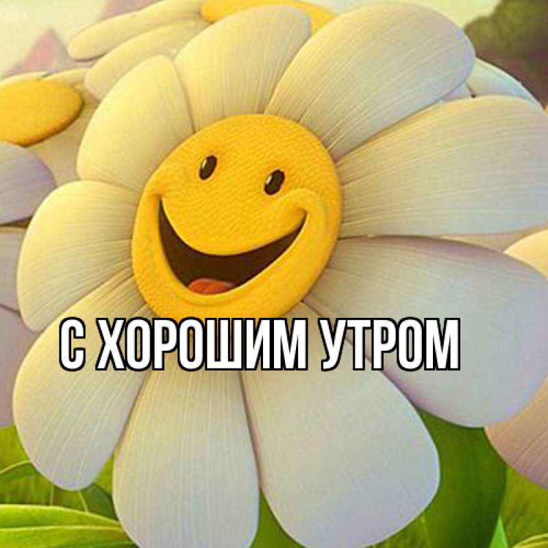 Картинка Удачи тебе, Толя