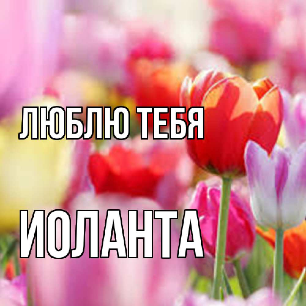 Открытка на каждый день с именем, Иоланта Люблю тебя на международный женский день 2 Прикольная открытка с пожеланием онлайн скачать бесплатно 