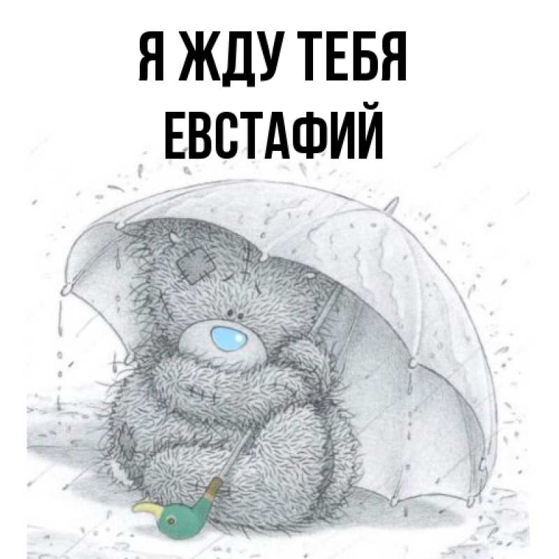 Картинка Я жду тебя, Евстафий