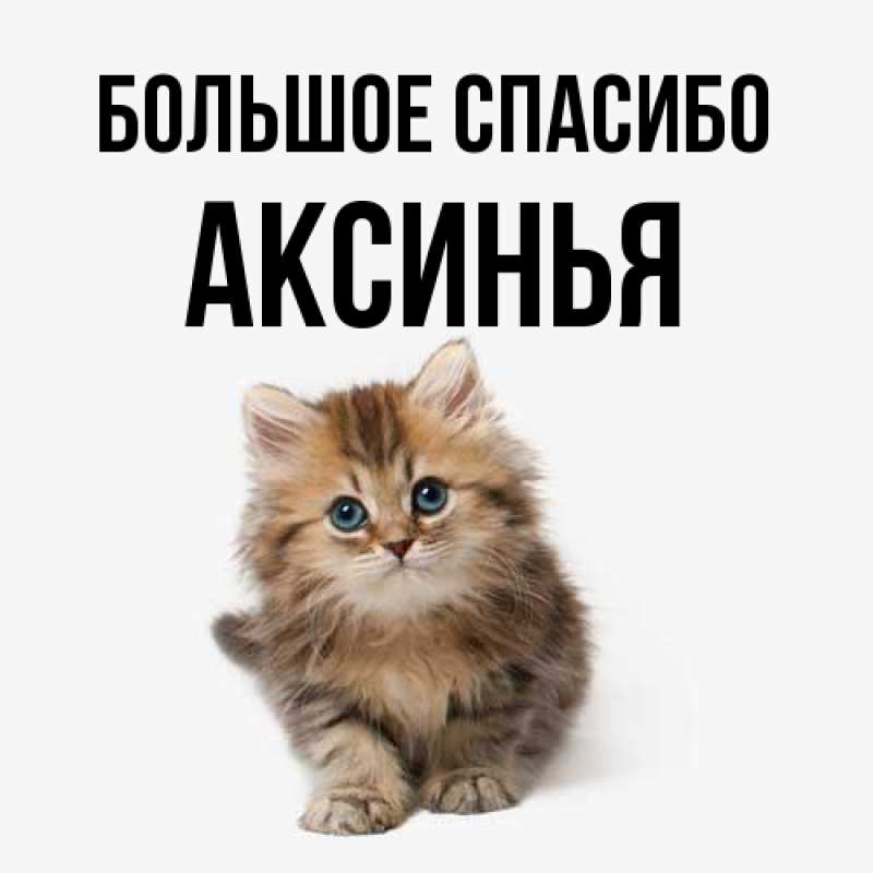 Картинка Большое спасибо, Аксинья