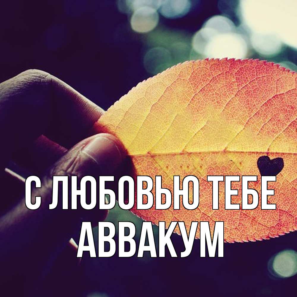 Открытка на каждый день с именем, Аввакум С любовью тебе держу лист Прикольная открытка с пожеланием онлайн скачать бесплатно 