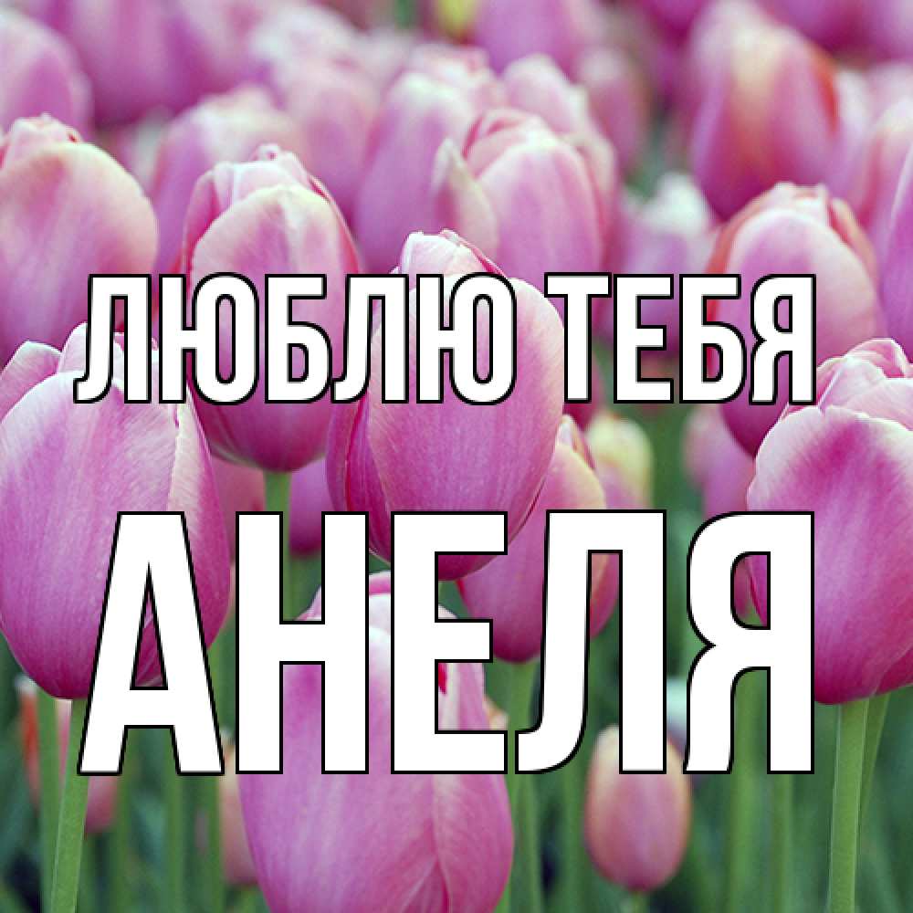 Открытка на каждый день с именем, Анеля Люблю тебя на международный женский день 3 Прикольная открытка с пожеланием онлайн скачать бесплатно 