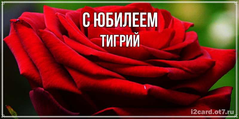 Открытка с именем, Тигрий, C юбилеем
