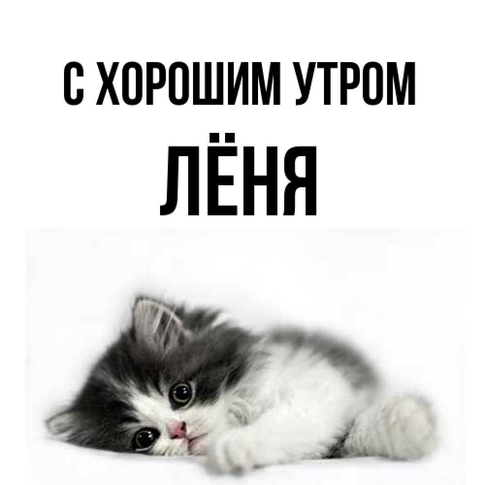 Открытка на каждый день с именем, Лёня С хорошим утром кот лапки Прикольная открытка с пожеланием онлайн скачать бесплатно 