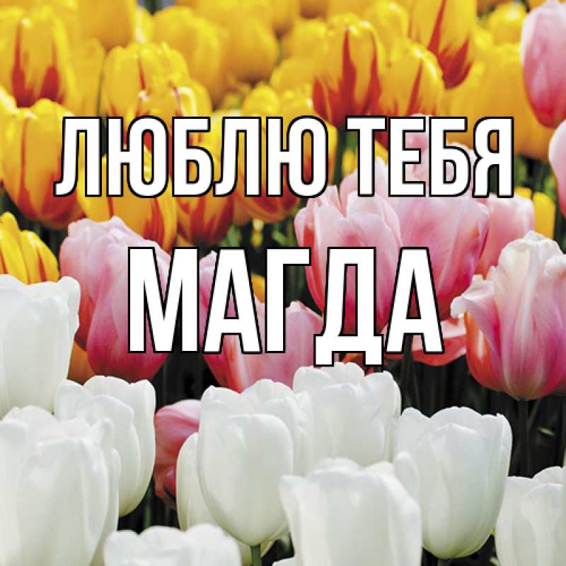 Картинка Люблю тебя, Магда