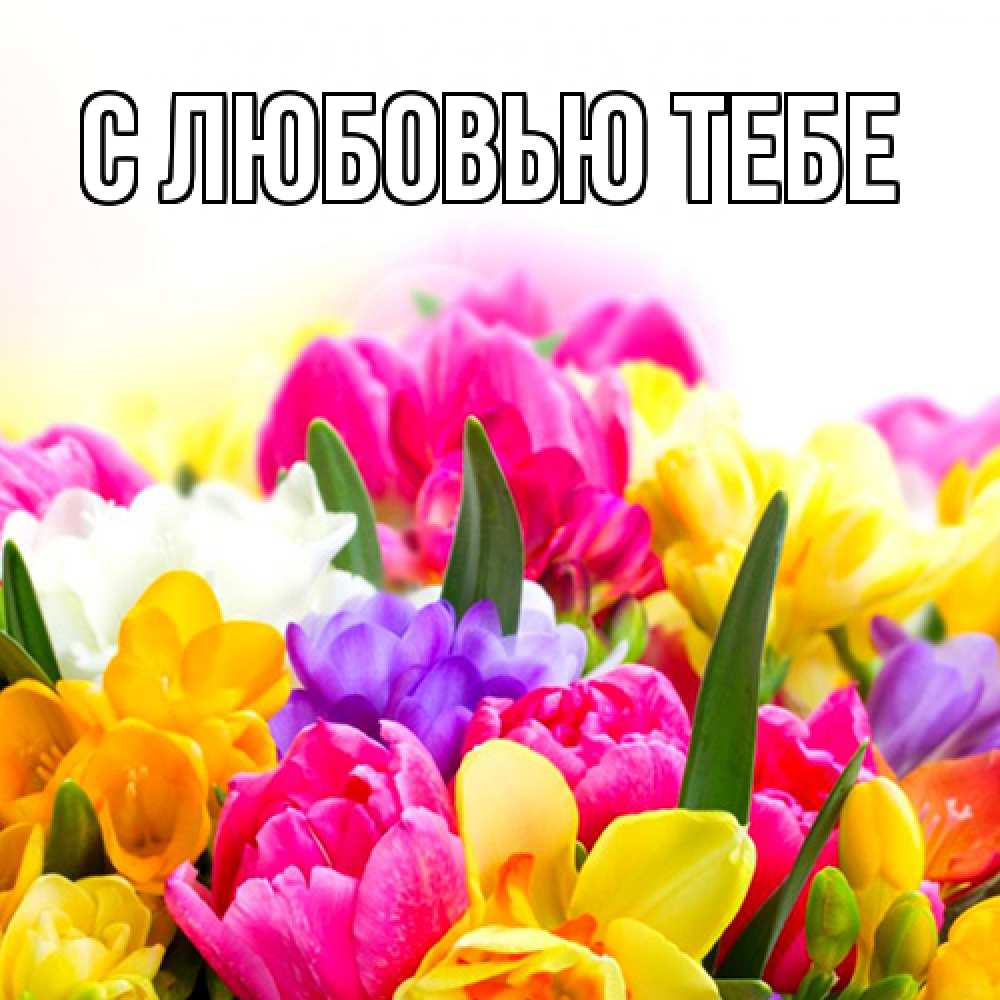 Открытка на каждый день с именем, Жан Люблю тебя тюльпаны Прикольная открытка с пожеланием онлайн скачать бесплатно 