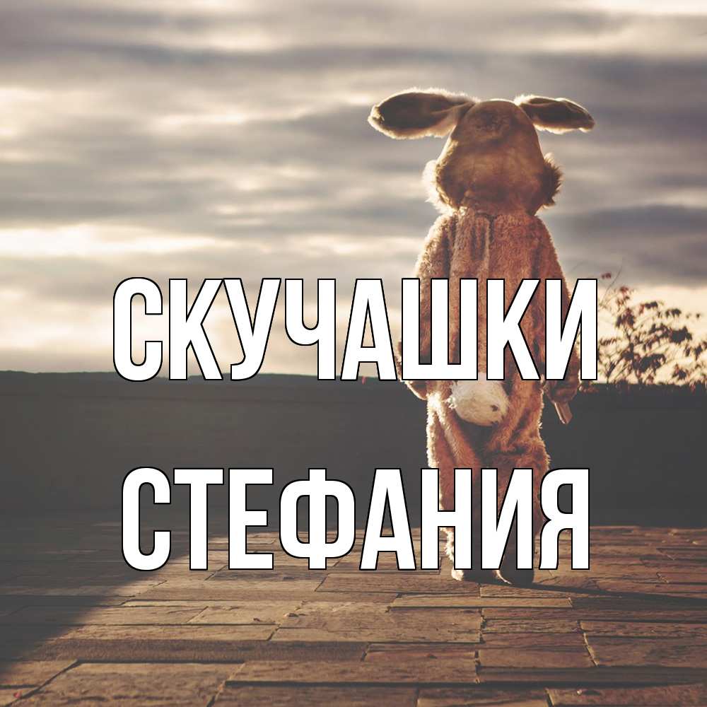 Открытка на каждый день с именем, Стефания Скучашки даже в костюме зайца Прикольная открытка с пожеланием онлайн скачать бесплатно 