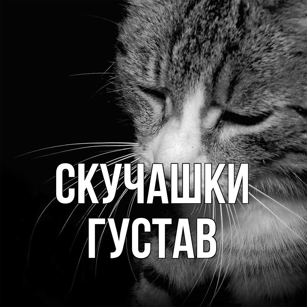 Открытка на каждый день с именем, Густав Скучашки мне скучно Прикольная открытка с пожеланием онлайн скачать бесплатно 