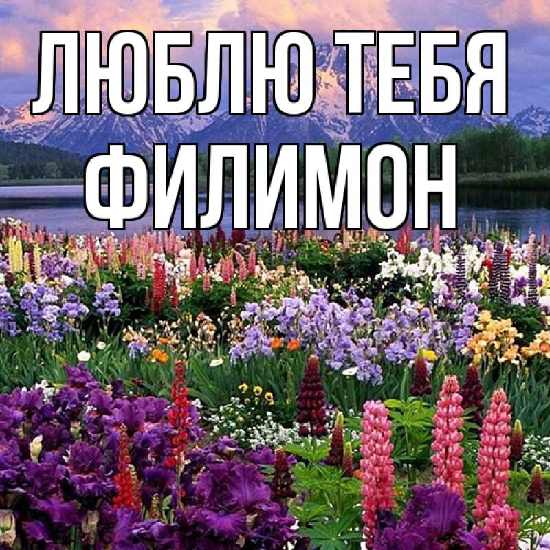 Картинка Люблю тебя, Филимон