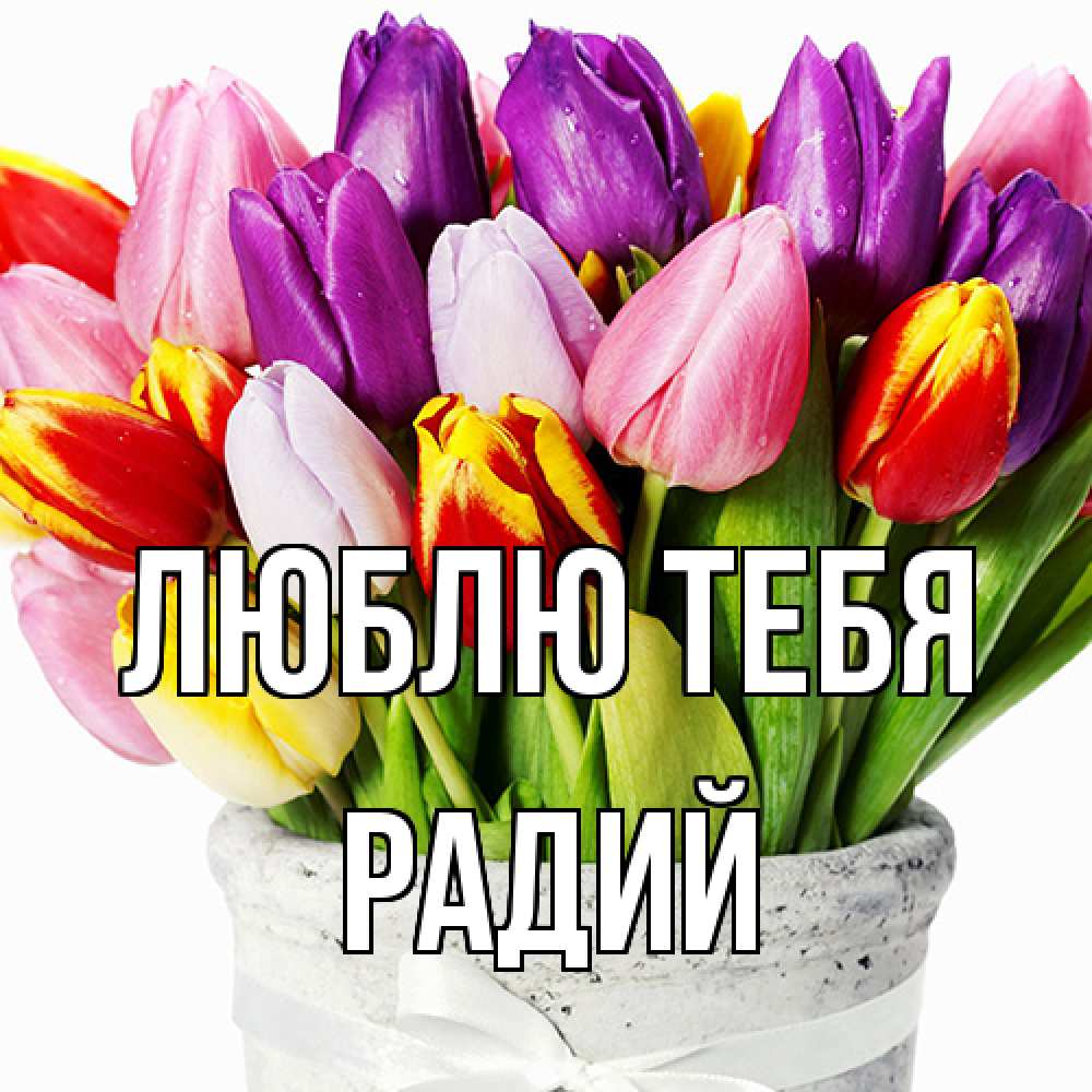 Открытка на каждый день с именем, Радий Люблю тебя букет Прикольная открытка с пожеланием онлайн скачать бесплатно 