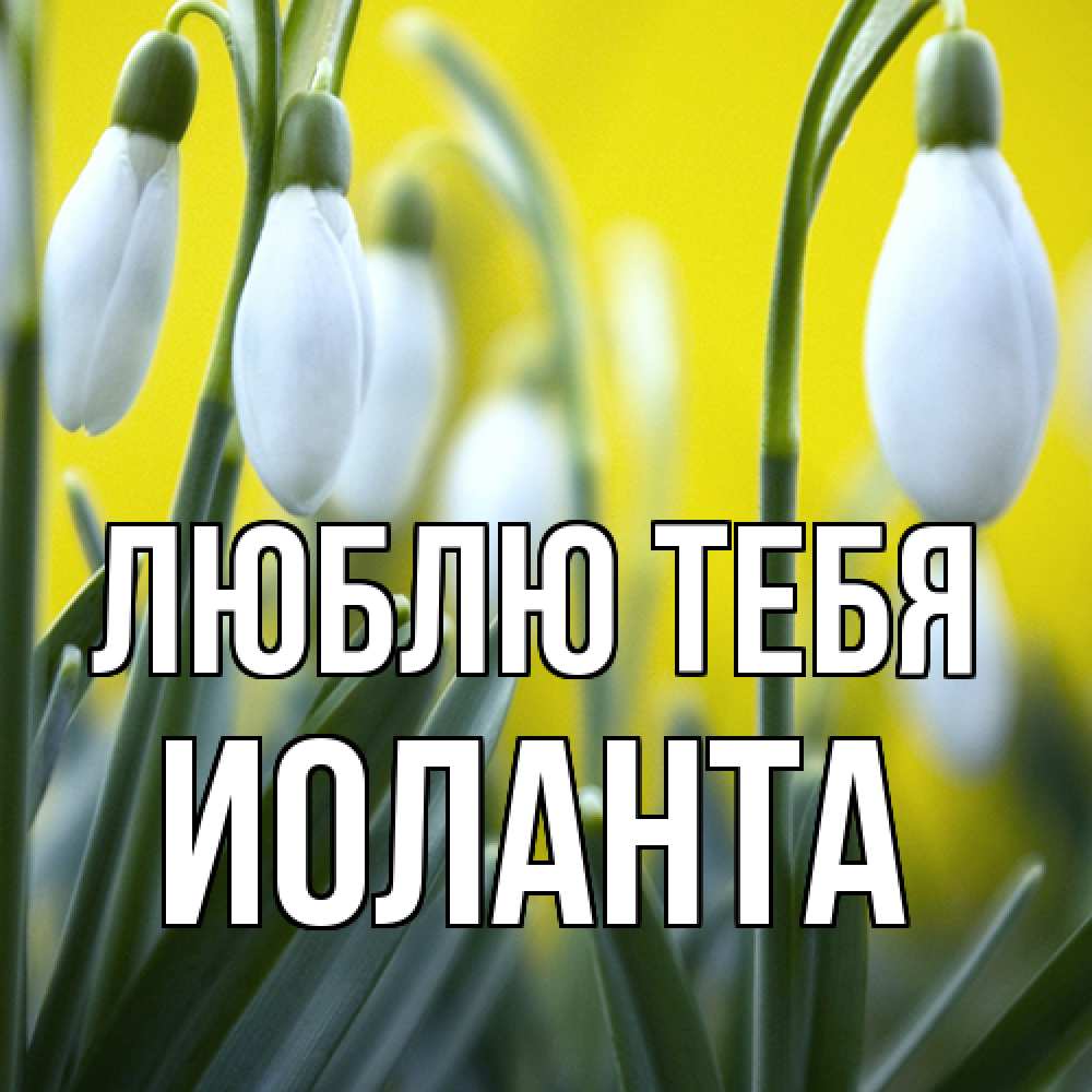 Открытка на каждый день с именем, Иоланта Люблю тебя весенние цветы Прикольная открытка с пожеланием онлайн скачать бесплатно 