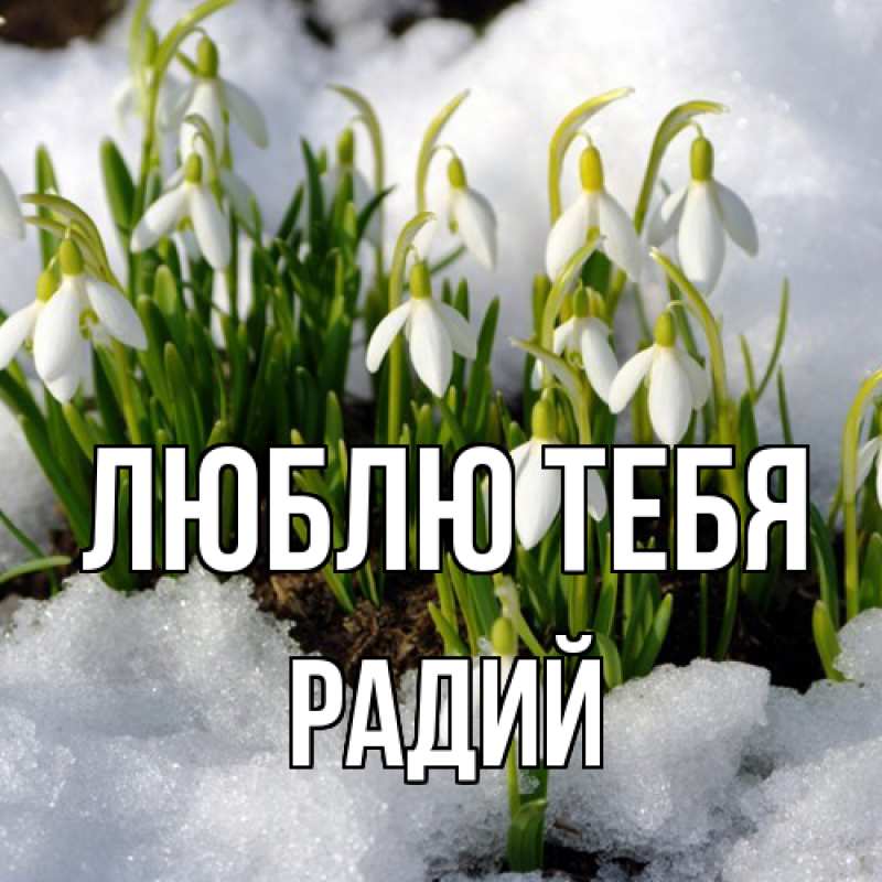 Картинка Люблю тебя, Радий