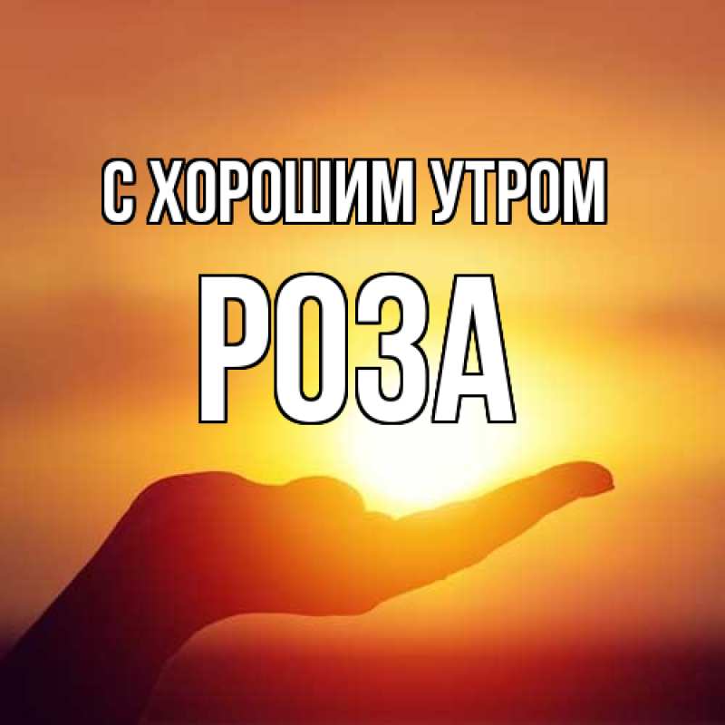Картинка С хорошим утром, Роза