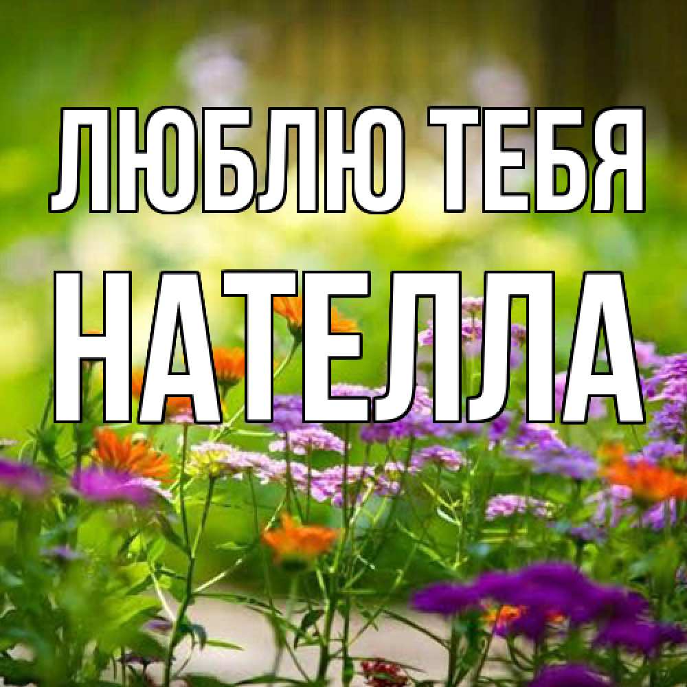 Открытка на каждый день с именем, Нателла Люблю тебя цветы Прикольная открытка с пожеланием онлайн скачать бесплатно 