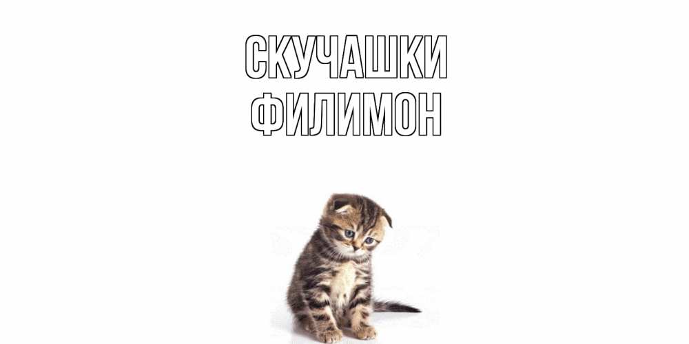 Открытка на каждый день с именем, Филимон Скучашки кот Прикольная открытка с пожеланием онлайн скачать бесплатно 