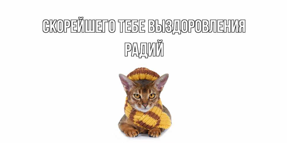 Открытка на каждый день с именем, Радий Скорейшего тебе выздоровления родные не болейте Прикольная открытка с пожеланием онлайн скачать бесплатно 