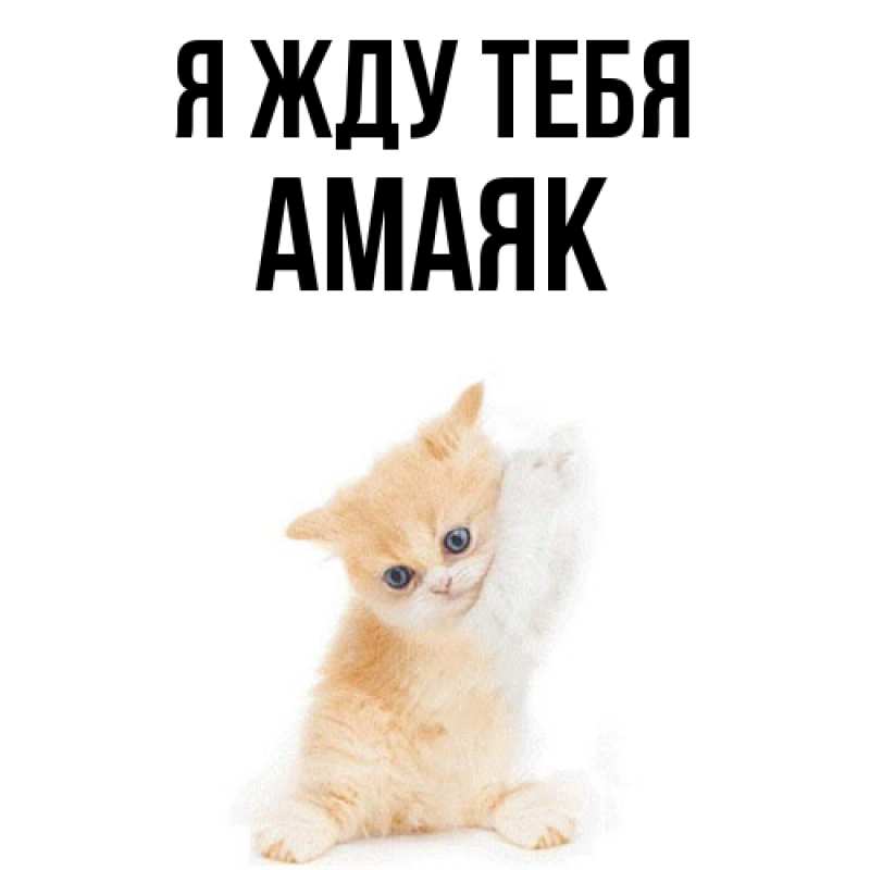 Открытка с именем, Амаяк, Я жду тебя
