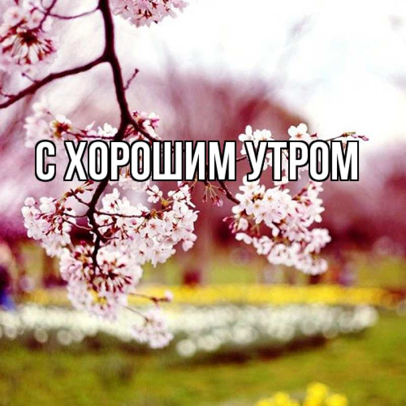 Картинка Люблю тебя, Иван