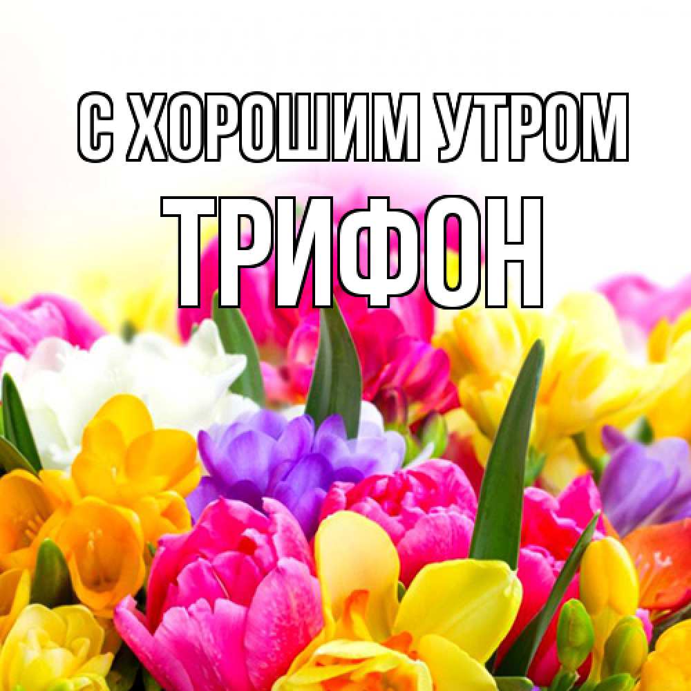 Открытка на каждый день с именем, Трифон С хорошим утром создать открытку со свое подписью Прикольная открытка с пожеланием онлайн скачать бесплатно 