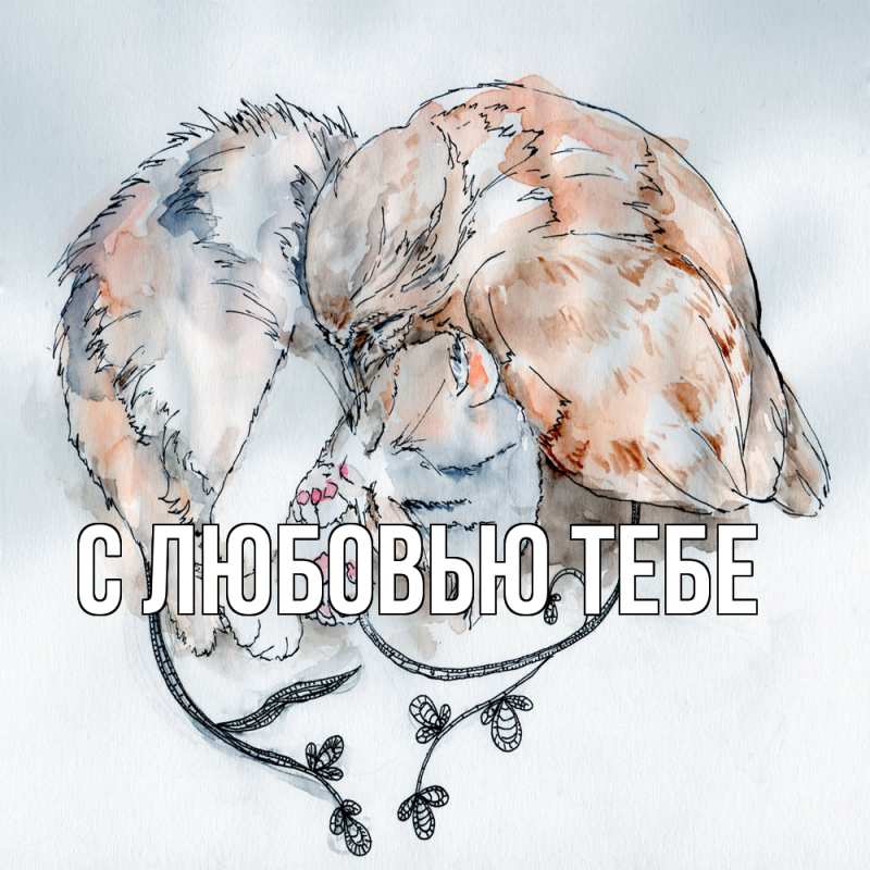 Картинка Обнимашки, Рома