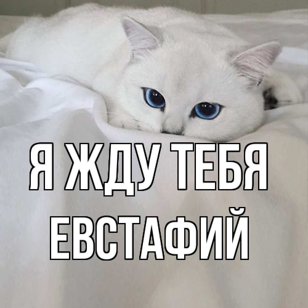 Открытка на каждый день с именем, Евстафий Я жду тебя я очень по тебе скучаю и тоскую Прикольная открытка с пожеланием онлайн скачать бесплатно 