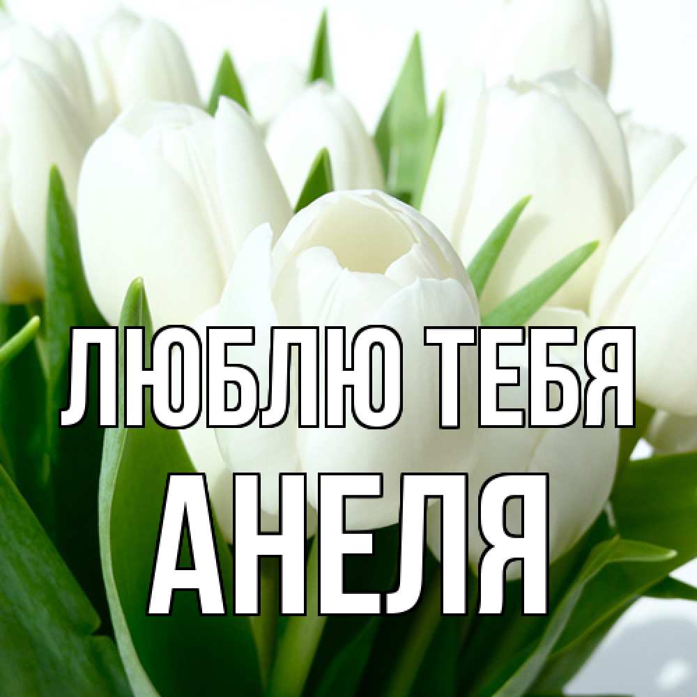 Открытка на каждый день с именем, Анеля Люблю тебя цветы Прикольная открытка с пожеланием онлайн скачать бесплатно 