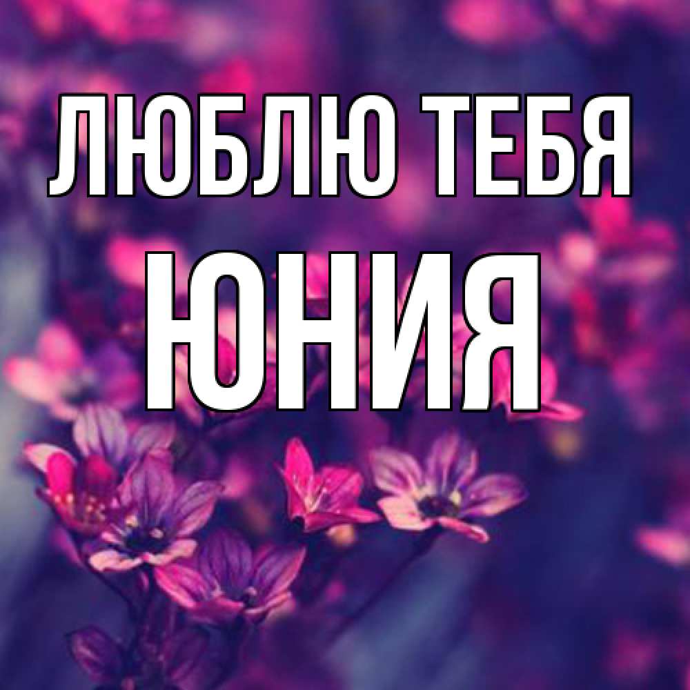 Открытка на каждый день с именем, Юния Люблю тебя небольшие цветы 1 Прикольная открытка с пожеланием онлайн скачать бесплатно 