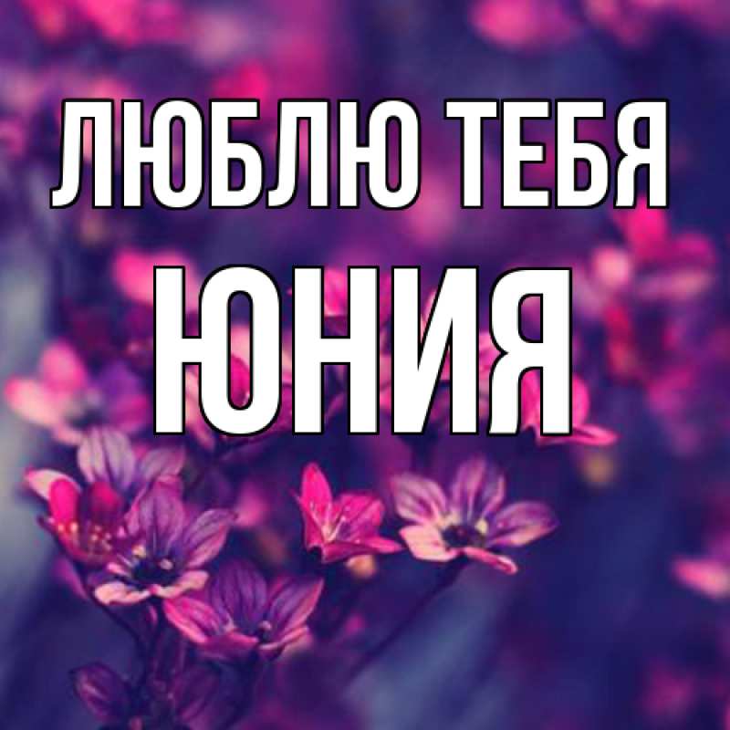Картинка Люблю тебя, Юния