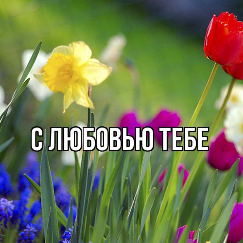 Открытка с именем, Аза, Люблю тебя